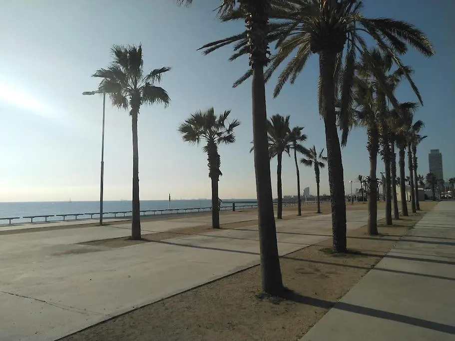 New! Amazing 2 Bedroom Apartment In Rambla Del Poblenou برشلونة