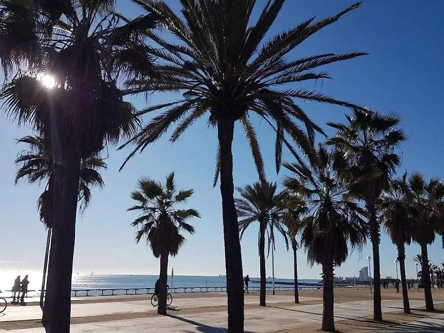New! Amazing 2 Bedroom Apartment In Rambla Del Poblenou Barcelone Espagne